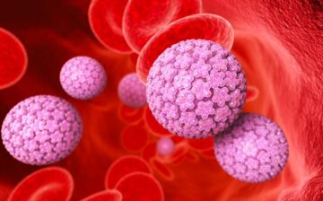Formation HPV